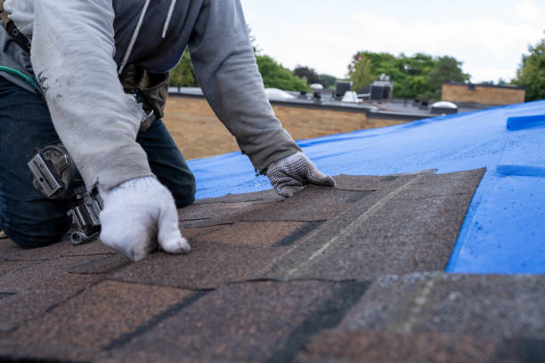Best Shingle Roofing Installation  in Houston, AK